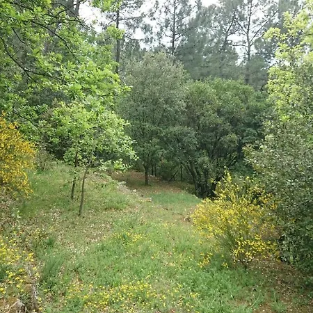 Apartman 