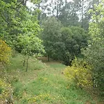 Appartement Clair De Lune Sur 6000 M2 Clos, Et Arborés Largentière