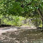 Clair De Lune Sur 6000 M2 Clos, Et Arborés *
