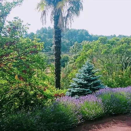 Clair De Lune Sur 6000 M2 Clos, Et Arborés Appartamento *