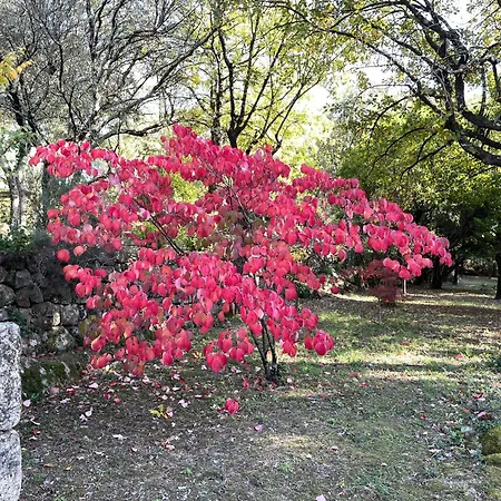 Clair De Lune Sur 6000 M2 Clos, Et Arborés * Largentière
